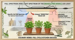 An instructional diagram showing the recommended hanging heights for a full spectrum grow light for indoor plants to ensure optimal coverage and prevent leaf scorch.