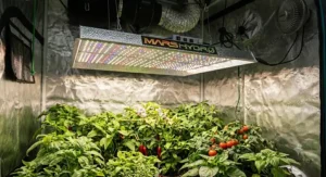 Full-spectrum LED grow light diagram for vegetative and flowering.