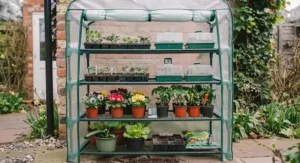 A 4-tier mini greenhouse set up for early spring seed starting, placed against a house exterior wall.