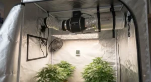 Inline extractor fan and carbon filter setup fitted inside a complete grow tent kit.