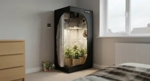 A compact best grow tent set up in a small British flat or bedroom corner for discreet indoor gardening.