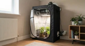 A compact grow tent tucked neatly into the corner of a UK apartment, demonstrating a space-saving solution for urban indoor gardeners.