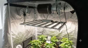 Energy-efficient LED grow lights safely hung from the ceiling bars of a beginner grow tent for optimal plant coverage.