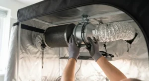 Fitting an extraction fan and carbon filter inside a beginner grow tent to control airflow and odours effectively.