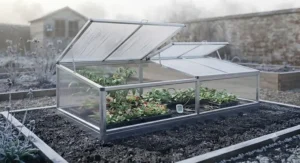 Winter crops and winter salads protected from frost inside an assembled aluminium cold frame in a backyard