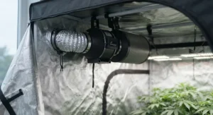 Carbon filter and ventilation extraction fan installed inside the top port of the best grow tent.