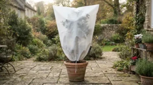 A large frost protection cover for plants shielding a potted lemon tree outside a suburban home