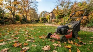 Using a versatile lawn mower under £300 to collect autumn leaves from the grass